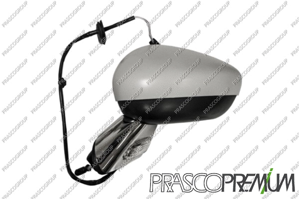 Exterior Mirror (CI3247324)