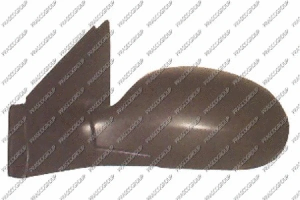 Exterior Mirror (CI5207314)