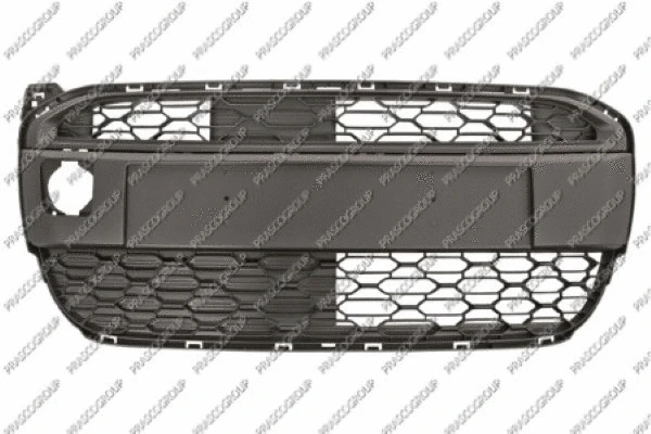 Ventilation Grilles, bumper (CI2042120)