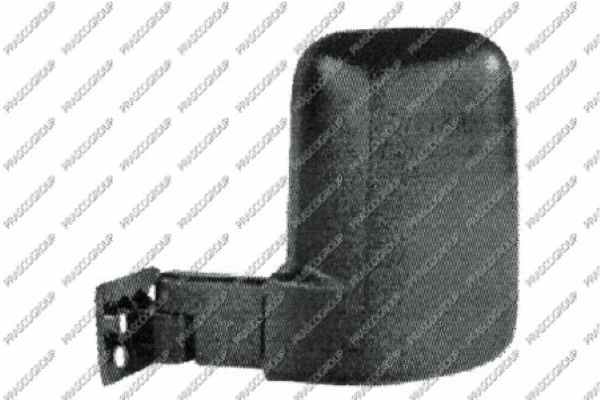 Exterior Mirror (FD9047004)