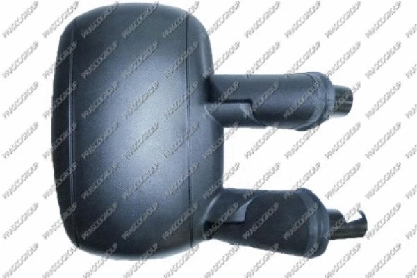 Exterior Mirror (FT9087003)