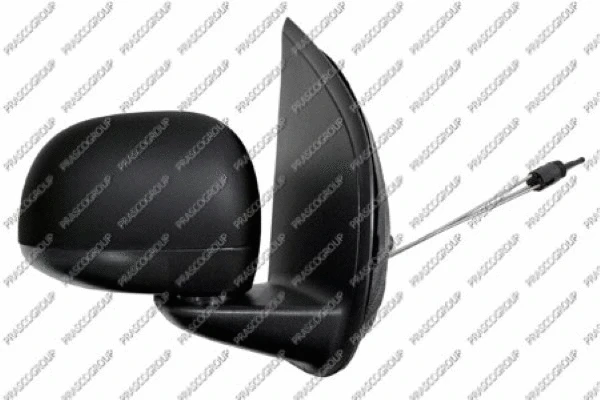 Exterior Mirror (FT1247005)