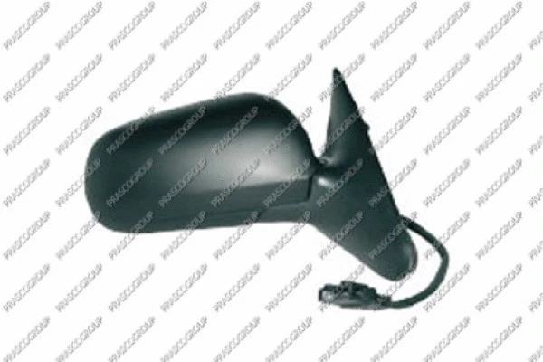 Exterior Mirror (SK0207313)