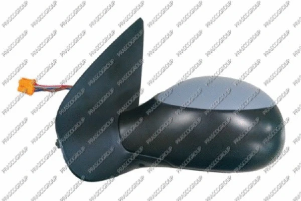 Exterior Mirror (PG0097334)