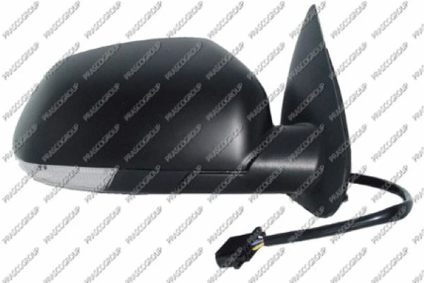 Exterior Mirror (SK0247323)