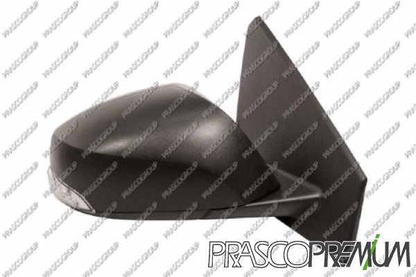 Exterior Mirror (RN4247323P)