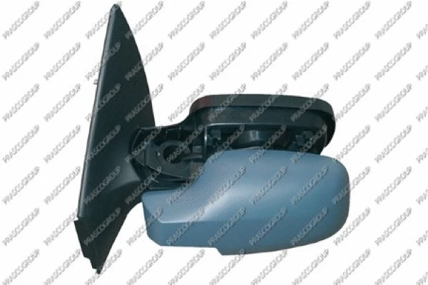 Exterior Mirror (RN4207324P)