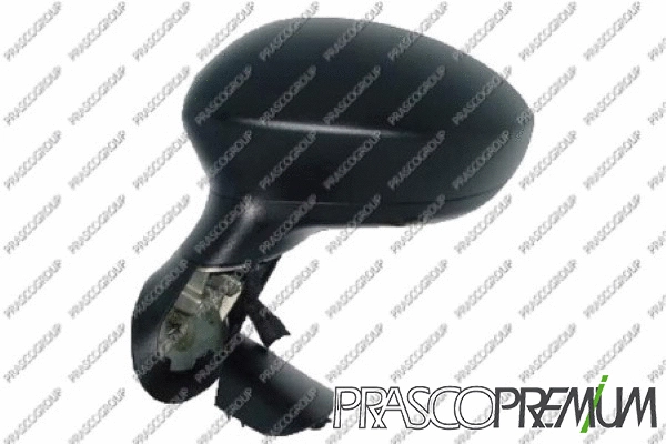 Exterior Mirror (FT3427344P)