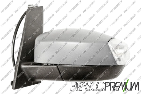 Exterior Mirror (FD7197304P)