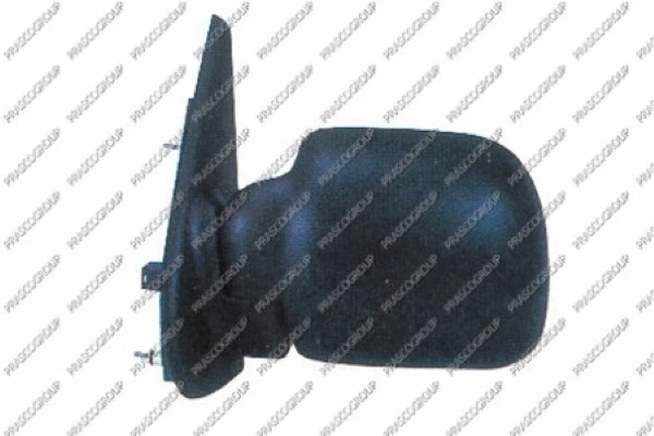 Exterior Mirror (RN9167314)