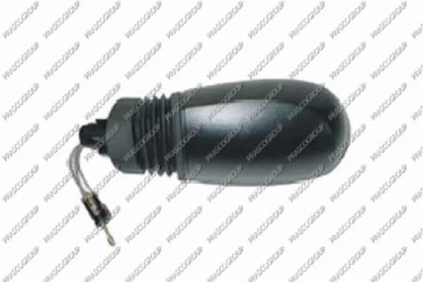 Exterior Mirror (FT1337314)