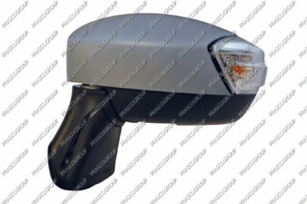 Exterior Mirror (FD8027324)