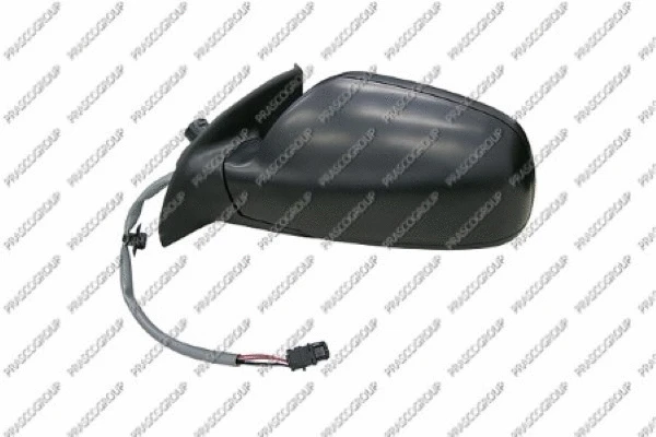 Exterior Mirror (PG4207204)