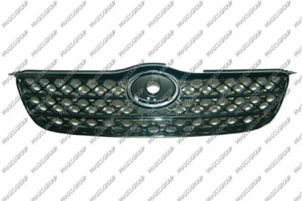 Radiator Grille (TY0892011)