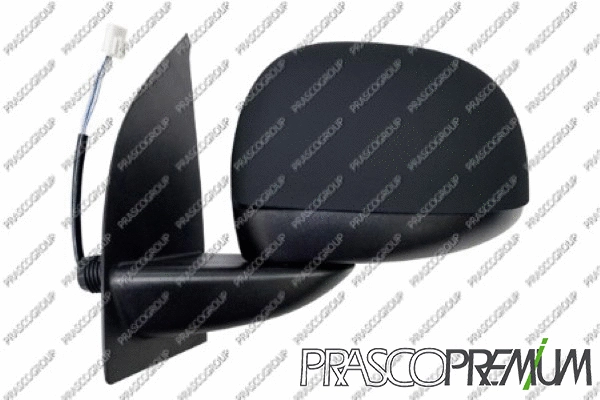 Exterior Mirror (FT1237124P)