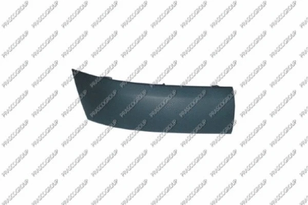 Trim/Protection Strip, bumper (RN3221243)