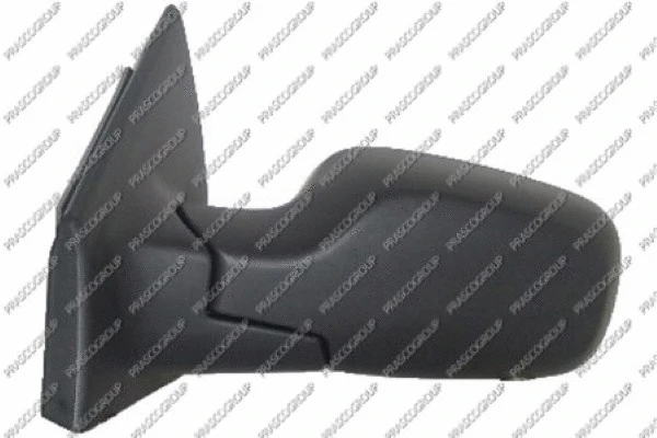 Exterior Mirror (RN3257314)