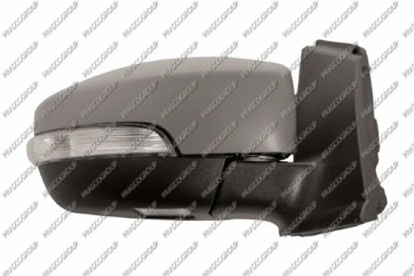 Exterior Mirror (FD8047323)