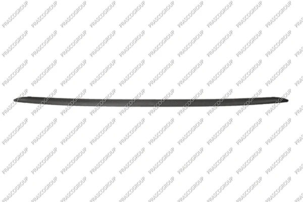 Trim/Protection Strip, bumper (FT0301861)