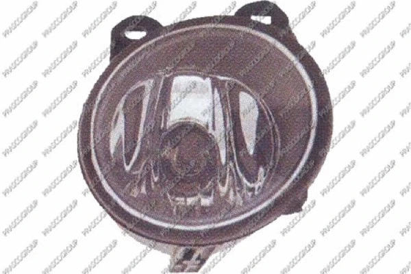 Front Fog Light (BM8204424)