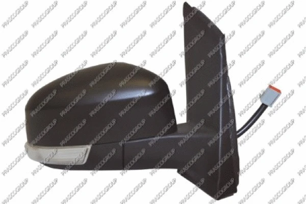 Exterior Mirror (FD4267323)