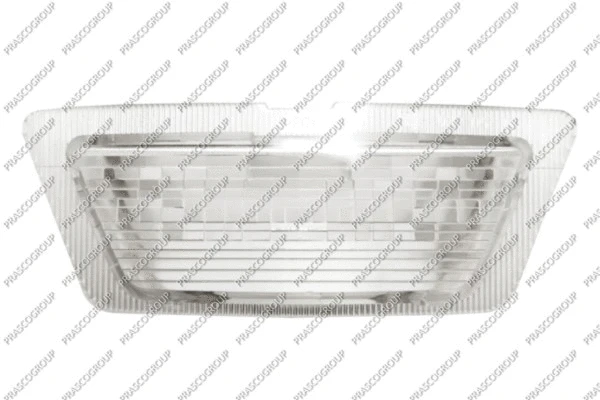 Licence Plate Light (OP0174350)