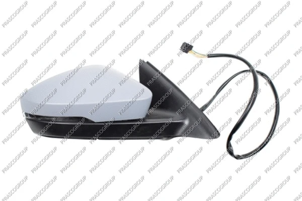 Exterior Mirror (SK0307333)