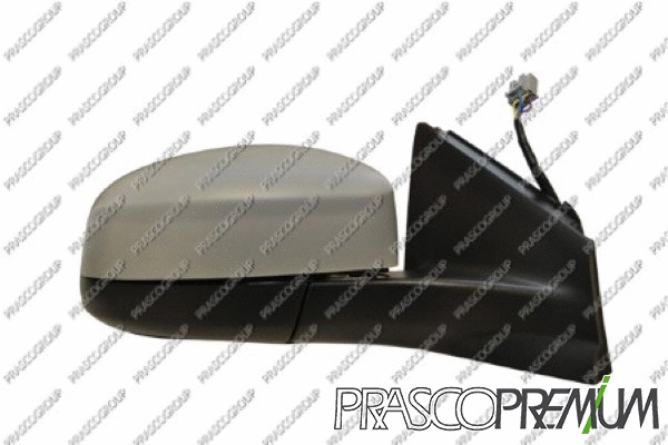 Exterior Mirror (FD1107343P)