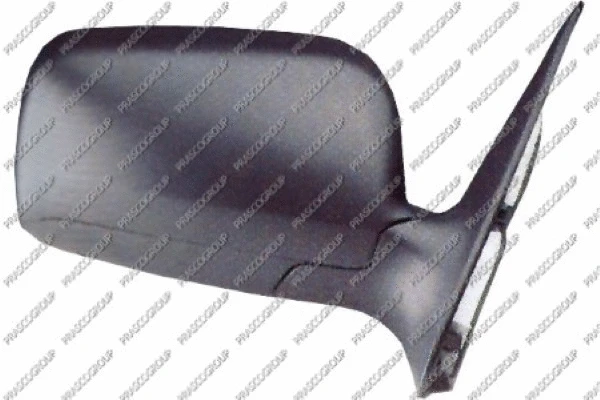 Exterior Mirror (SK3207303)