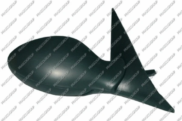 Exterior Mirror (AA0807303)