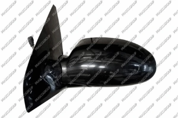 Exterior Mirror (FD4207314)