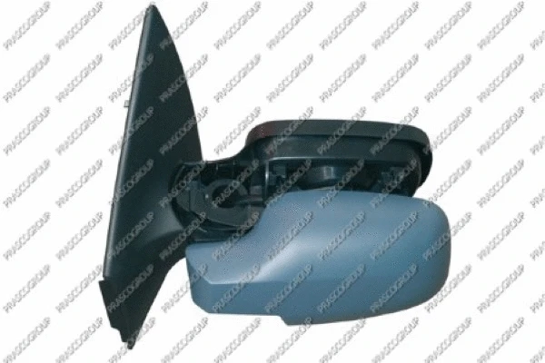 Exterior Mirror (RN4207324)