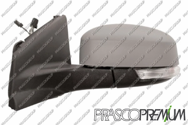 Exterior Mirror (FD1127334P)