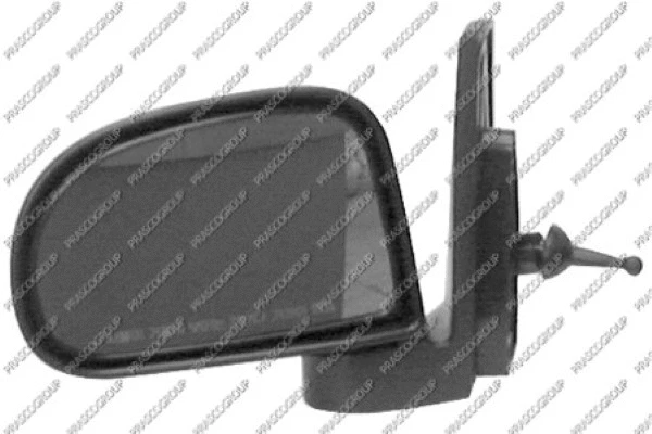 Exterior Mirror (HN3207124)