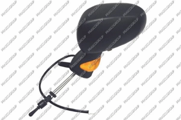 Exterior Mirror (RN3087114)