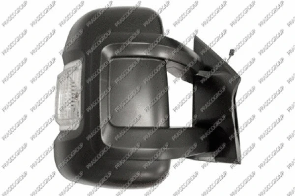 Exterior Mirror (FT9307113)