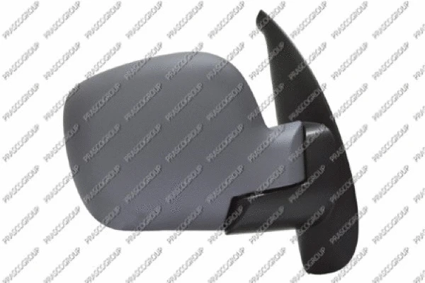 Exterior Mirror (RN9187323)