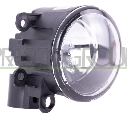 Front Fog Light (RN3324414)