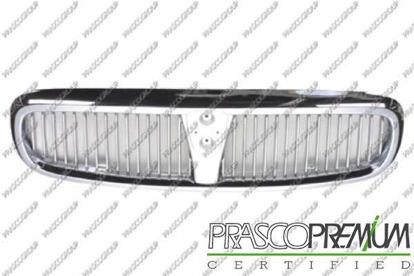 Radiator Grille (RG4202001)
