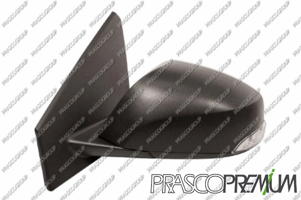 Exterior Mirror (RN4247324P)