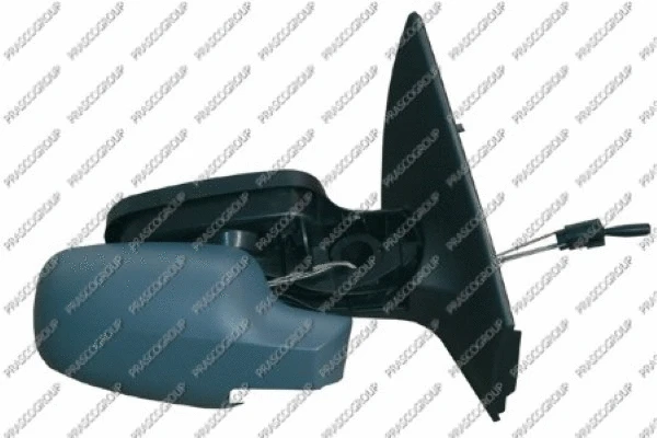 Exterior Mirror (RN4207123)
