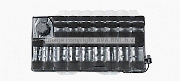 Expansion Tank, coolant (DFT079)