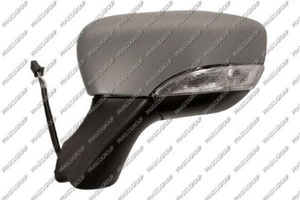 Exterior Mirror (RN3297324)