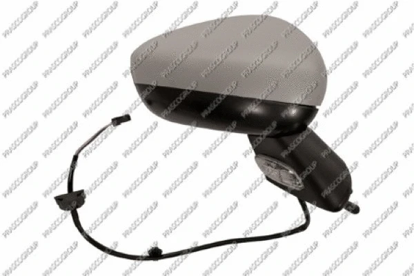 Exterior Mirror (CI3247313)