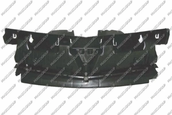 Cover, radiator grille (RN9182305)