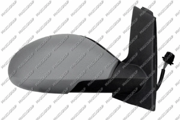 Exterior Mirror (ST5227313)