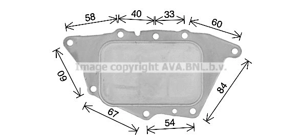 Oil Cooler, engine oil (BW3594)