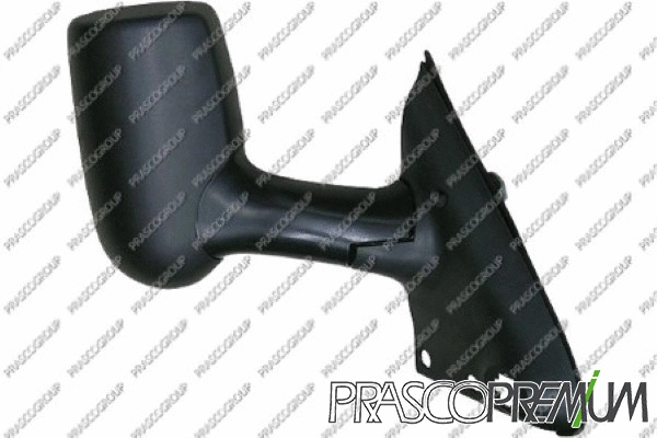 Exterior Mirror (FD9107313P)