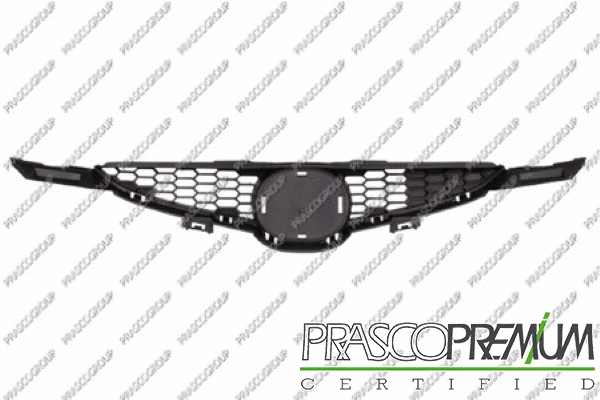 Radiator Grille (MZ3092001)