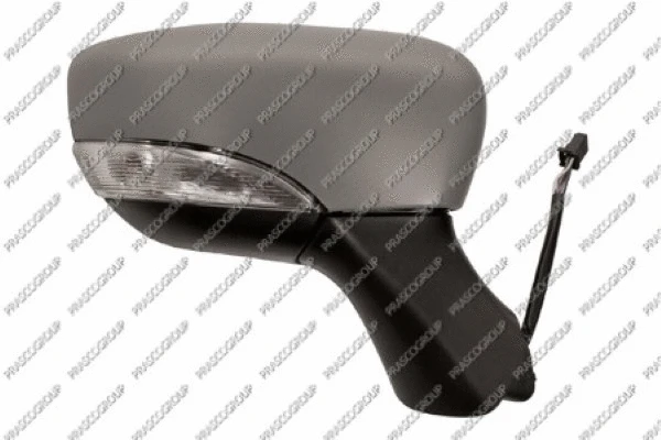 Exterior Mirror (RN3297313)